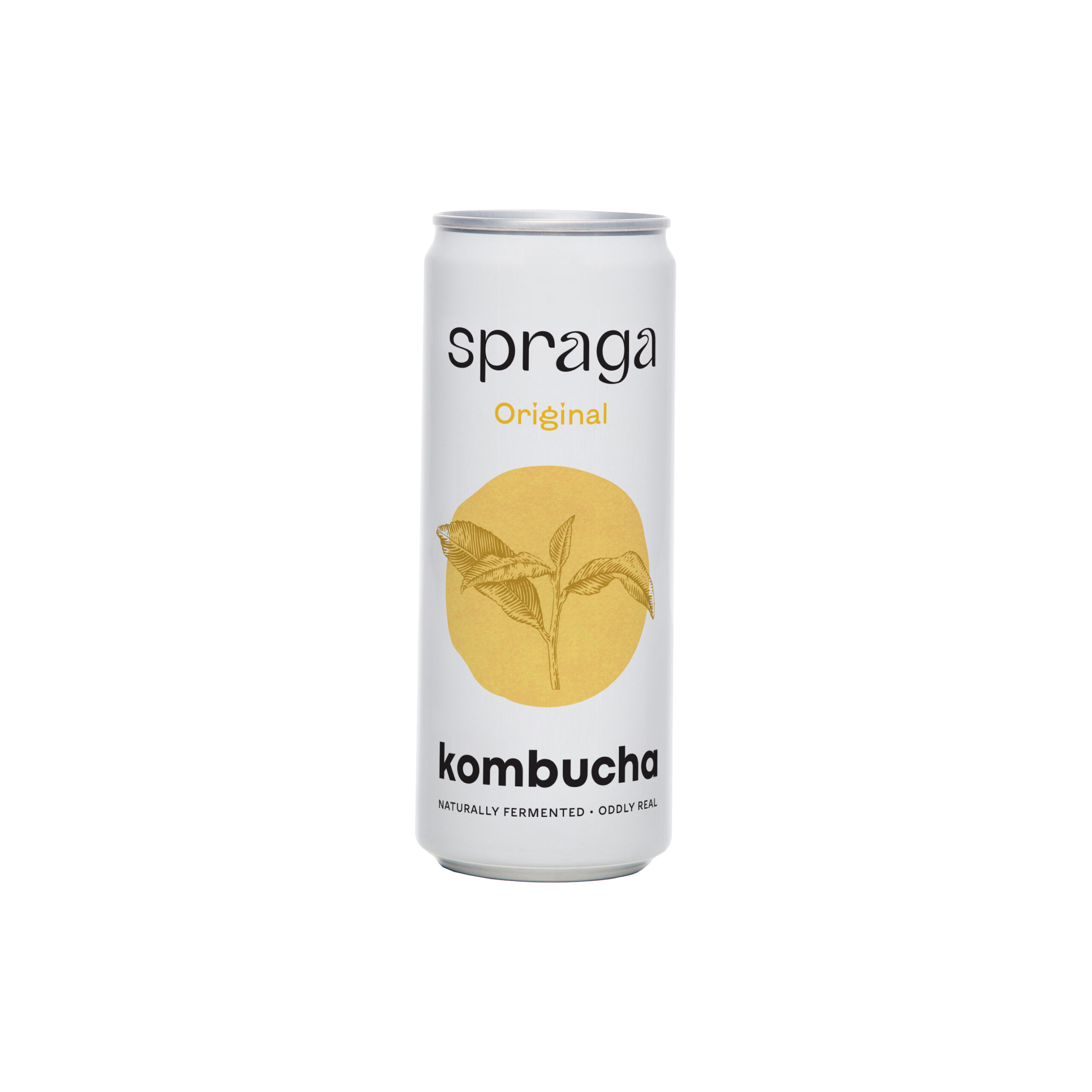 Original kombucha